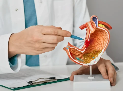 Gastroenterologist pointing to stomach model illustrating GI billing accuracy and denial prevention strategies.