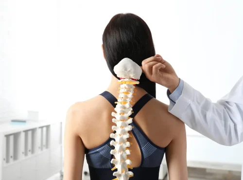 Orthopedic-02